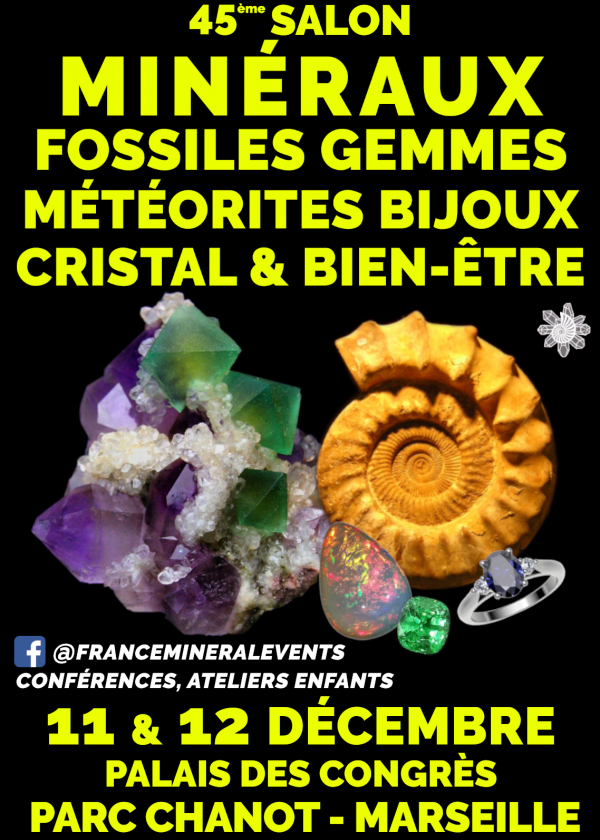 45th Mineral Fair Event Marsiglia - Minerali, fossili, gemme, gioielli, cristalli e benessere