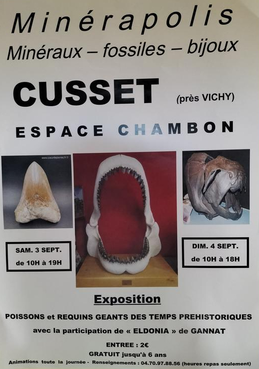 MINERAPOLIS mostra di fossili, minerali e gioielli