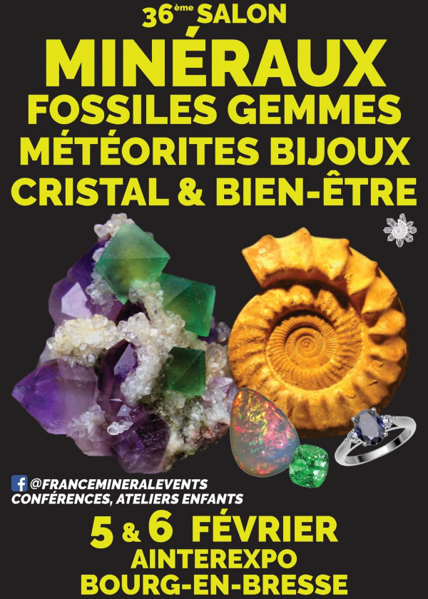 36° Evento Minerario Bourg-en-Bresse