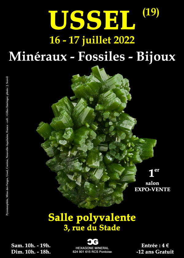 1a Fiera dei Minerali di Gioielleria Fossile
