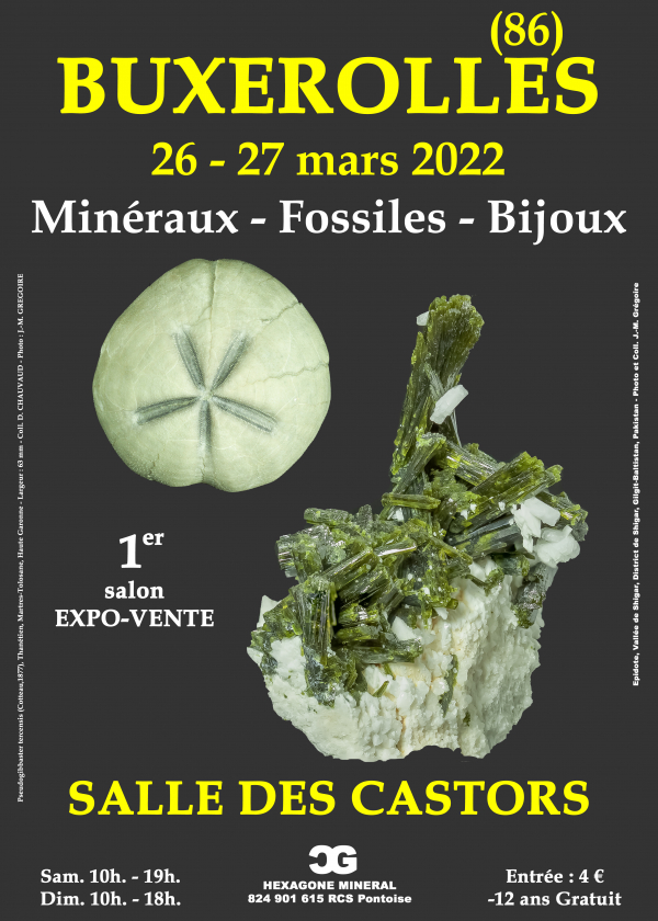 1a Fiera dei gioielli di minerali fossili