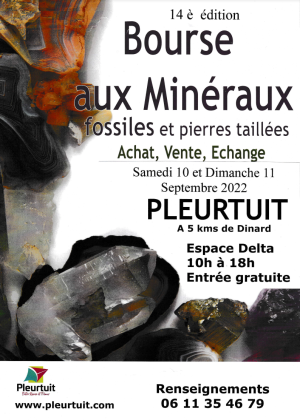 14a Borsa di studio sui minerali e sui fossili