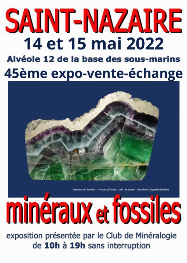 45a mostra-vendita-scambio di minerali e fossili