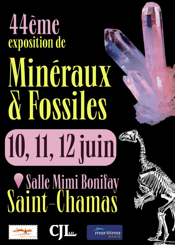 44a Fiera dei Minerali e dei Fossili