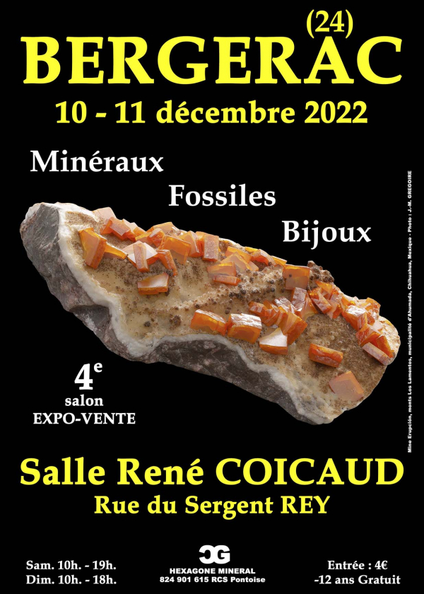 4a Fiera dei gioielli di minerali fossili