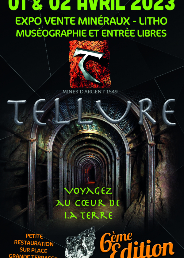 6a mostra di vendita di minerali e litografie