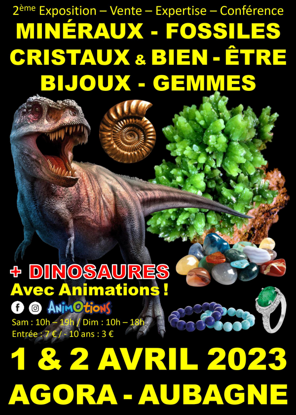 2a Fiera dei cristalli di minerali fossili