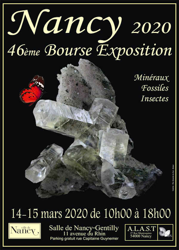 46esima mostra di borsa di minerali e insetti fossili