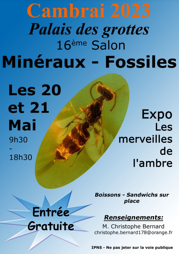 17a Fiera dei Minerali e dei Fossili AGC. Ingresso gratuito dalle 9:30 alle 18:30