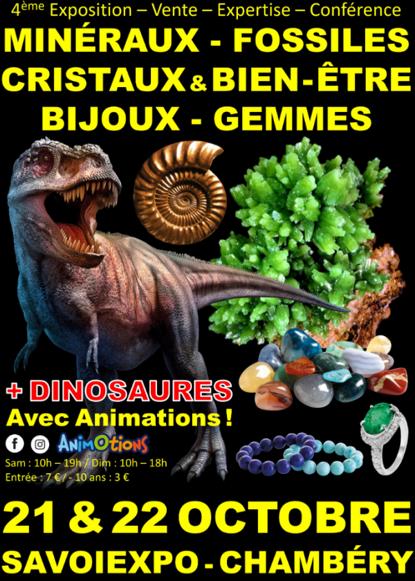 4a Fiera dei cristalli minerali fossili e del benessere