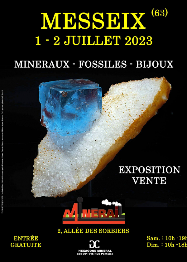 1a MOSTRA DI VENDITA DI MINERALI FOSSILI DI GIOIELLI