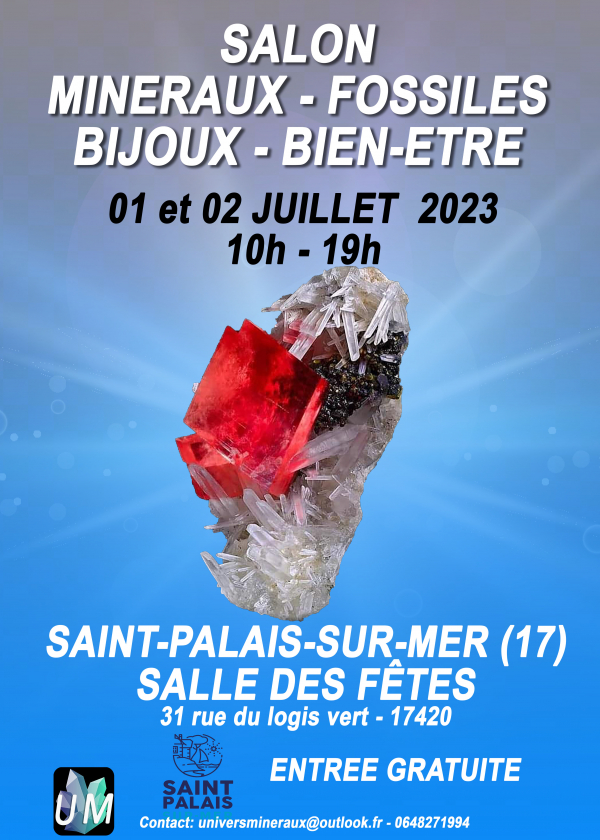 Minerali, fossili, gioielli di design e fiera del benessere.