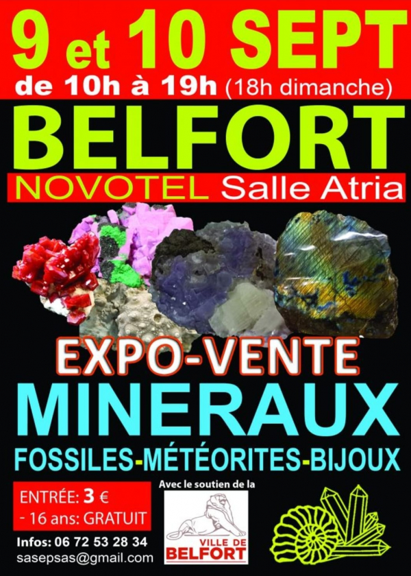 Fiera dei minerali fossili e dei gioielli