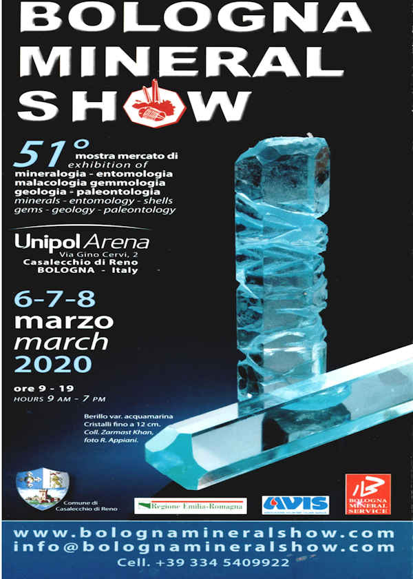 51 ° salone minerario di Bologna 2020