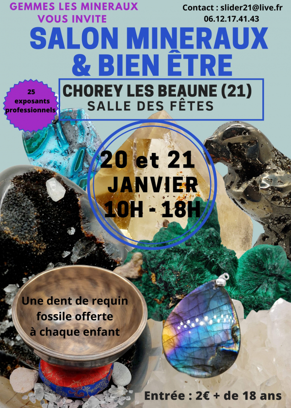 Minerali, fossili, meteoriti e spettacolo di benessere