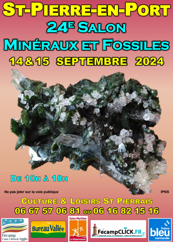 24 EME Borsa di minerali e fossili di Saint Pierre en Port