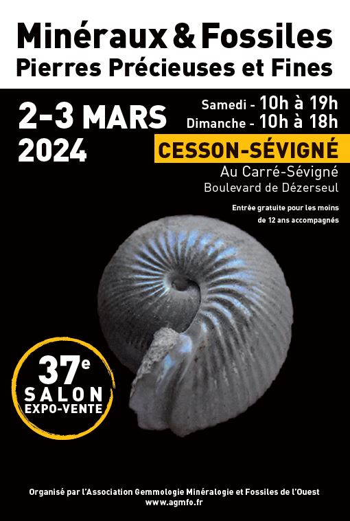 37a Mostra dei Minerali AGMFO