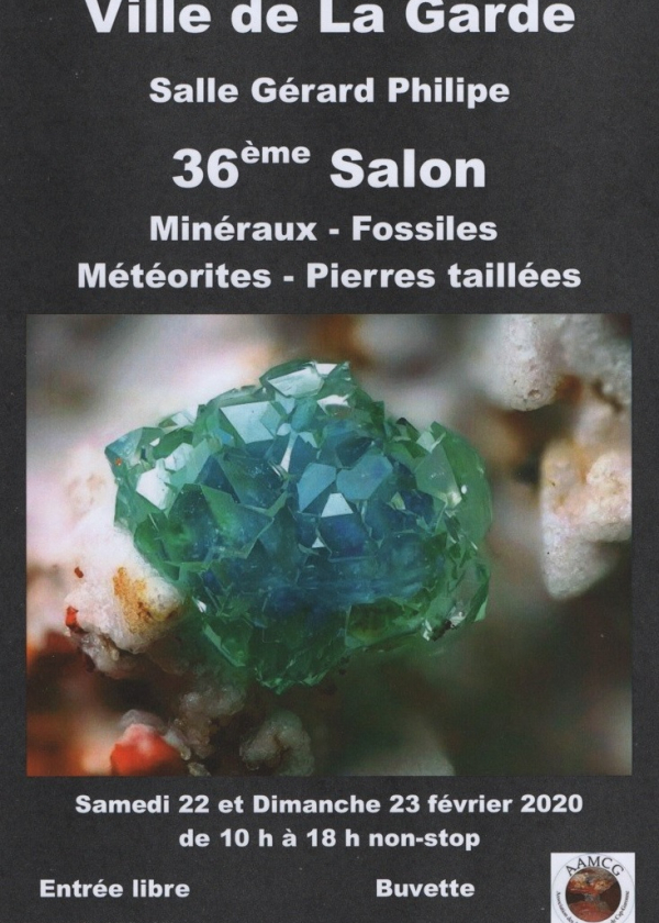 36 ° scambio di minerali e fossili