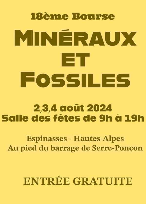XVIII Borsa di minerali e fossili.