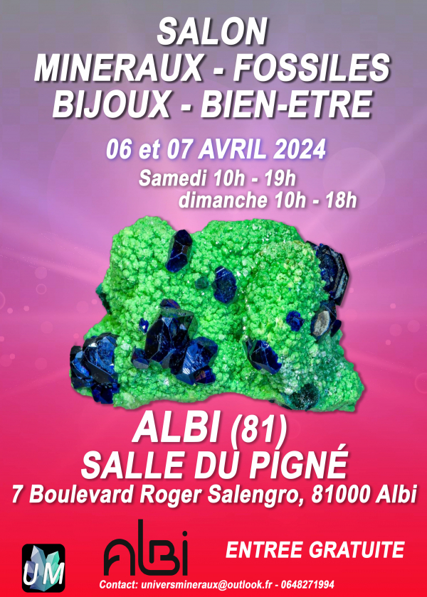 Fiera dei minerali, dei fossili, dei gioielli d'autore e del benessere.
