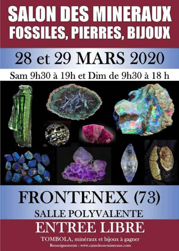 2o scambio minerale