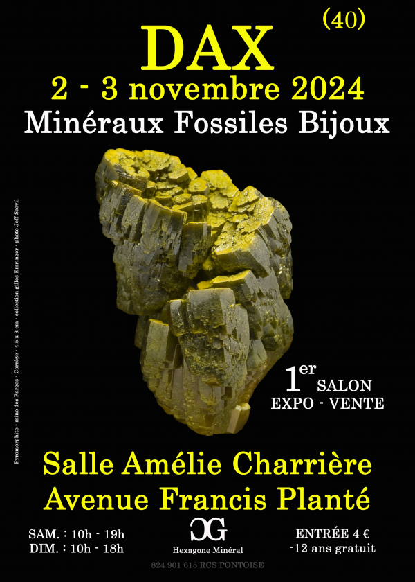 1a MOSTRA DEI MINERALI FOSSILI DELLA GIOIELLERIA DAX