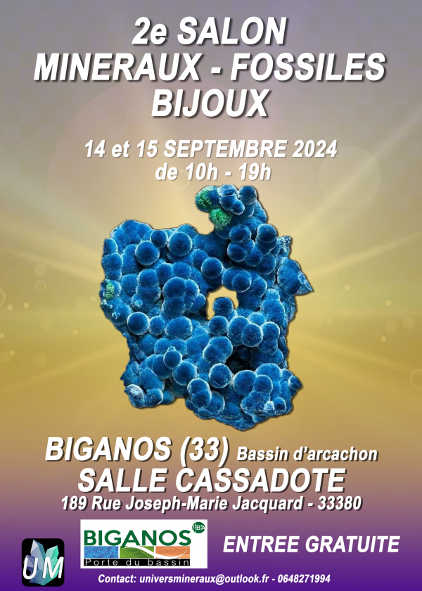 Spettacolo di minerali, fossili e gioielli firmati