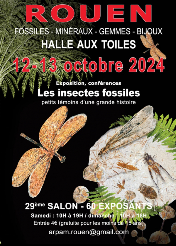 29a Esposizione Internazionale di Rouen 2024 Fossili, Minerali, Gemme e Gioielli
