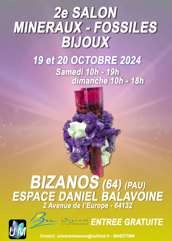 Mostra di minerali, fossili e gioielli d'autore.