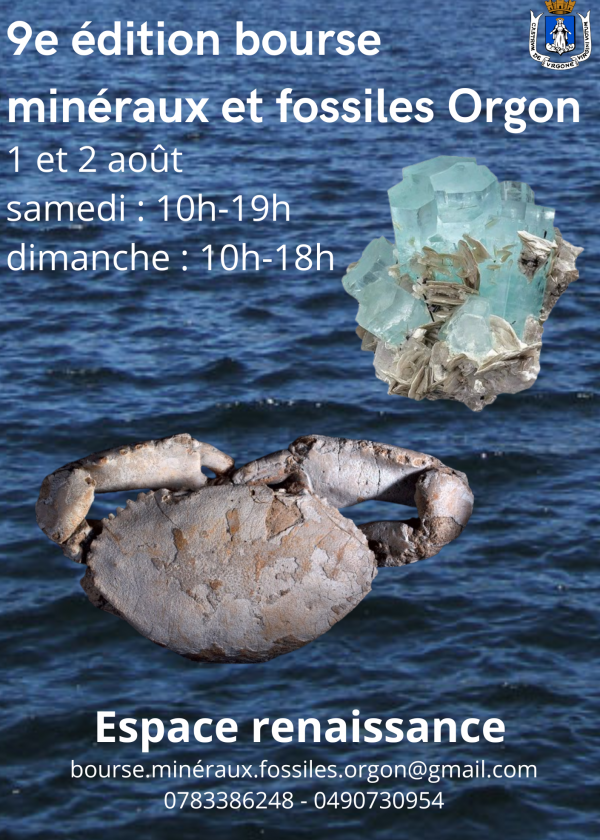 9 borsa minerali fossili gioielli meteoriti