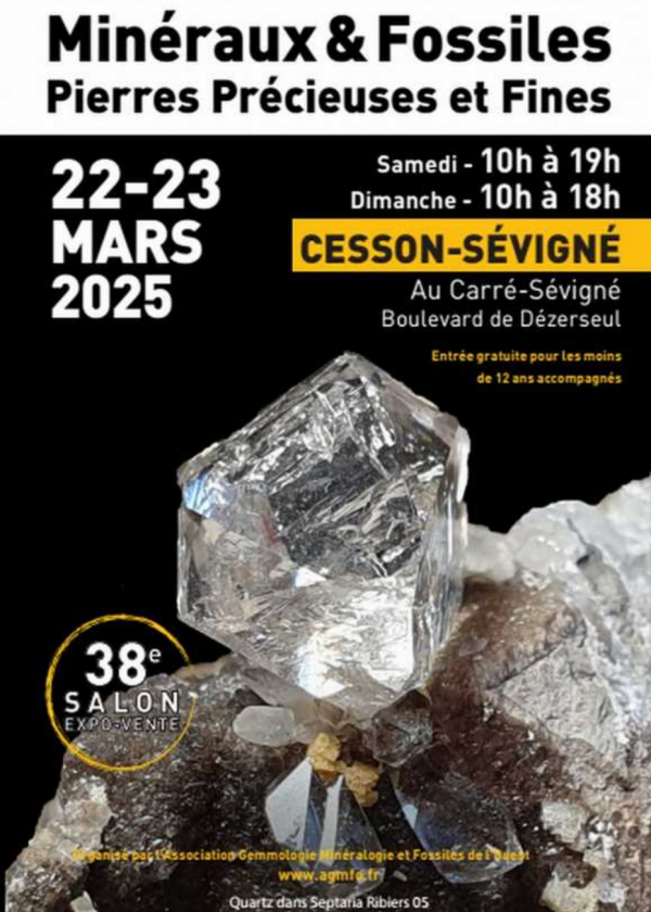 38° Mostra dei Minerali AGMFO