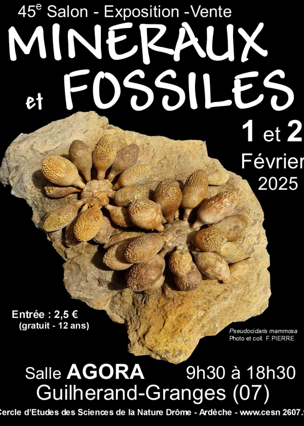 45° Scambio di minerali e fossili di Guilherand-Granges