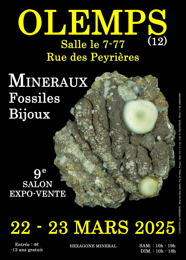 9° MOSTRA DI GIOIELLERIA MINERALI FOSSILI