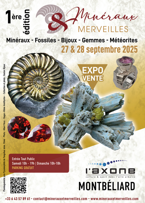 Fiera dei minerali e delle meraviglie