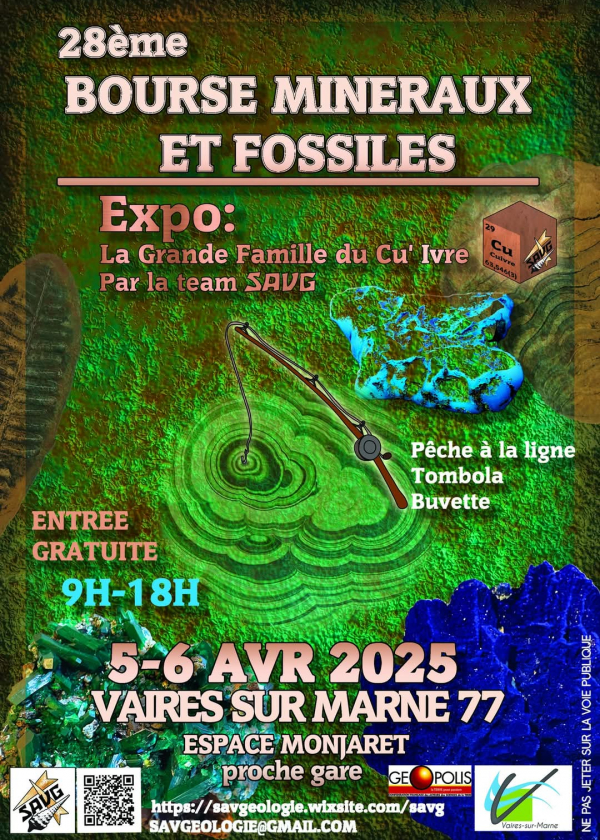 28° scambio di minerali e fossili