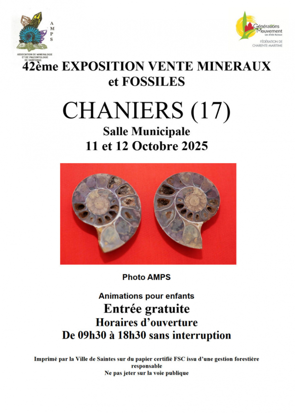 42a MOSTRA DI MINERALI E FOSSILI 42a MOSTRA DI MINERALI E FOSSILI