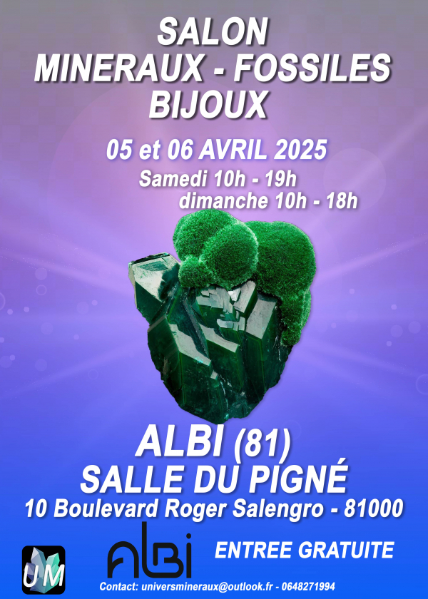 Mostra di minerali, fossili e gioielli d'autore.