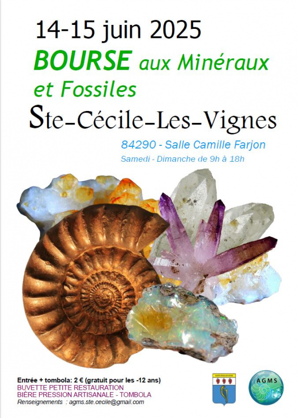 Scambio di minerali e fossili