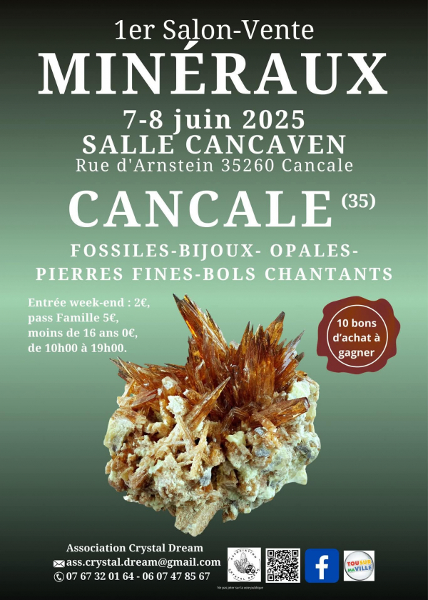 1a edizione della fiera di vendita di minerali, fossili e gioielli 1a edizione della fiera di vendita di minerali, fossili e gioielli