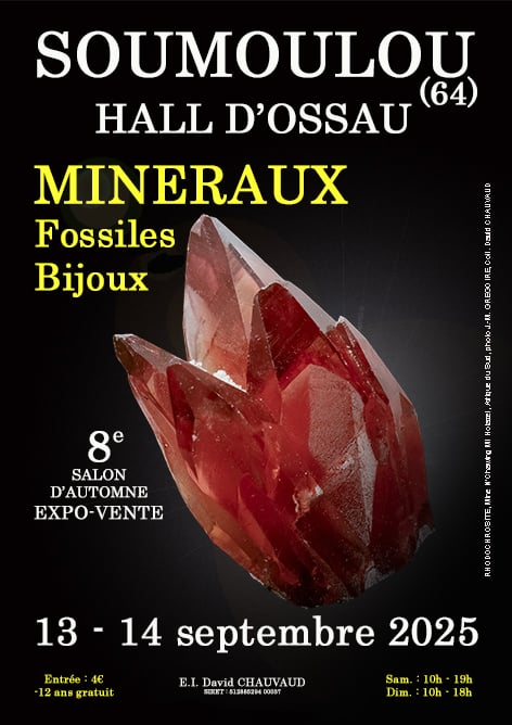 8° Mostra autunnale di minerali, fossili e gioielli