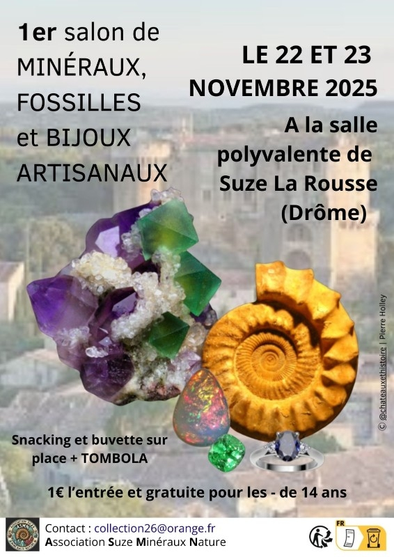 Scambio di minerali, fossili e gioielli artigianali