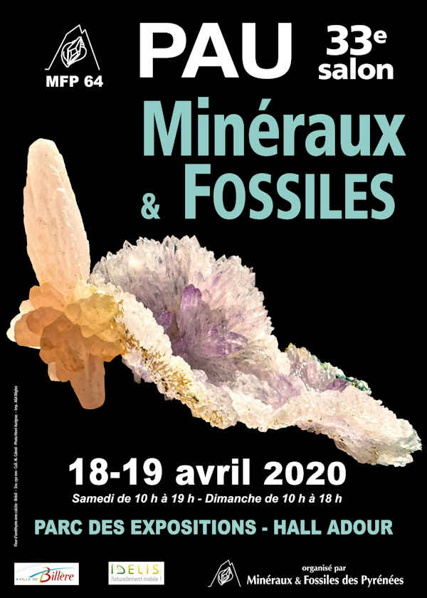 33 ° Esposizione di minerali e fossili