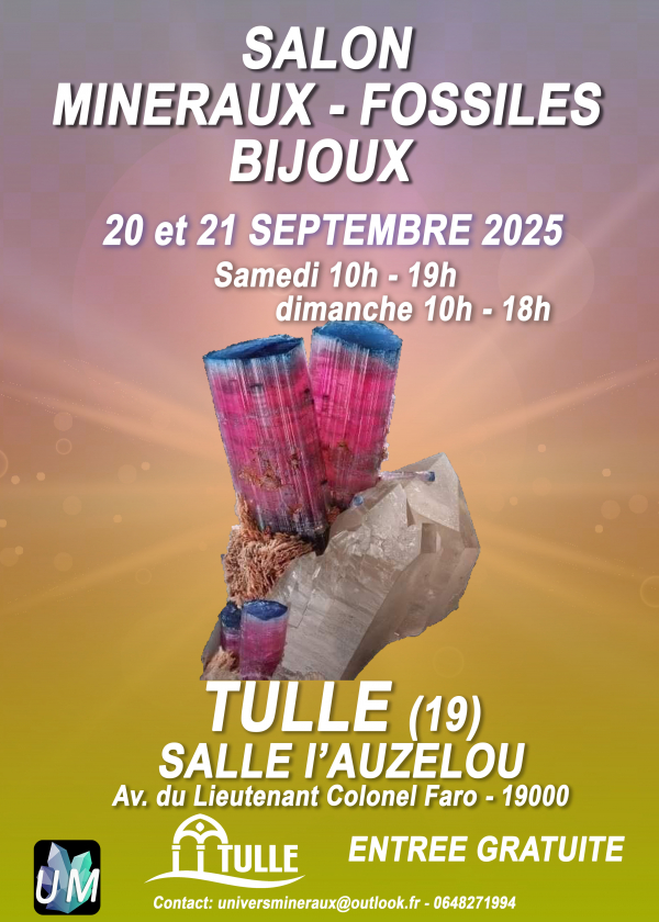 Mostra di minerali, fossili e gioielli di design.