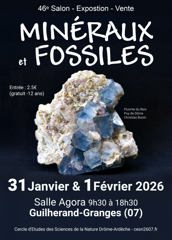 46° scambio di minerali e fossili di Guilherand-Granges