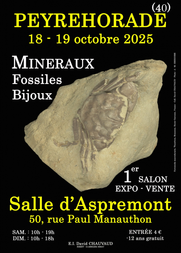 1° MOSTRA DI GIOIELLI MINERALI FOSSILI