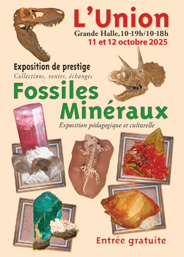 23a Mostra di minerali e fossili dell'Unione