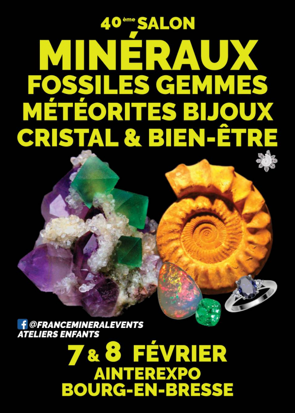 40° Mostra dei Minerali di Bourg-en-Bresse