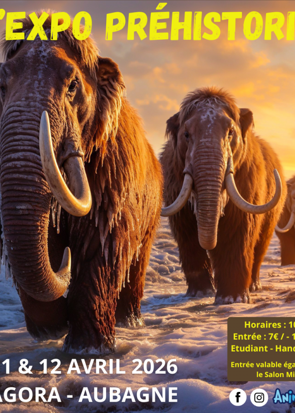 L'Expo Preistorico