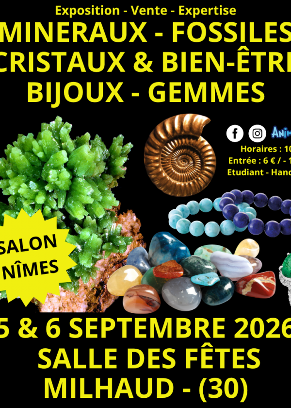 Mostra di minerali, fossili e cristalli