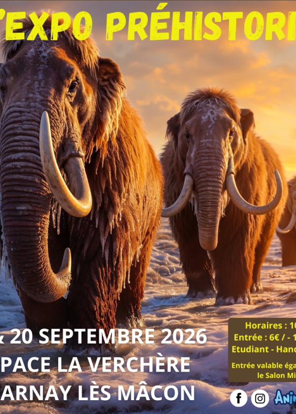 La mostra sulla preistoria
